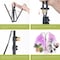 Homevenus 4 Heads Full Spectrum LED Grow Lights With Tripod For Indoor Plants GLT04 - alternate 8